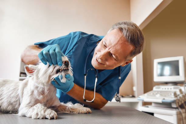 Best Emergency Wisdom Teeth Removal in Canton, NC